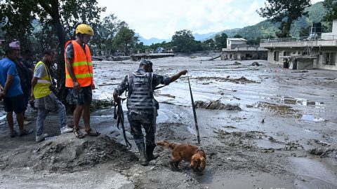 ७५२ को शव भेटियो, २ हजार ५०२ मानिस अझै बेपत्ता